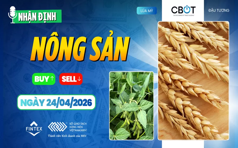 NHẬN ĐỊNH THỊ TRƯỜNG NÔNG SẢN NGÀY 24/04/2026